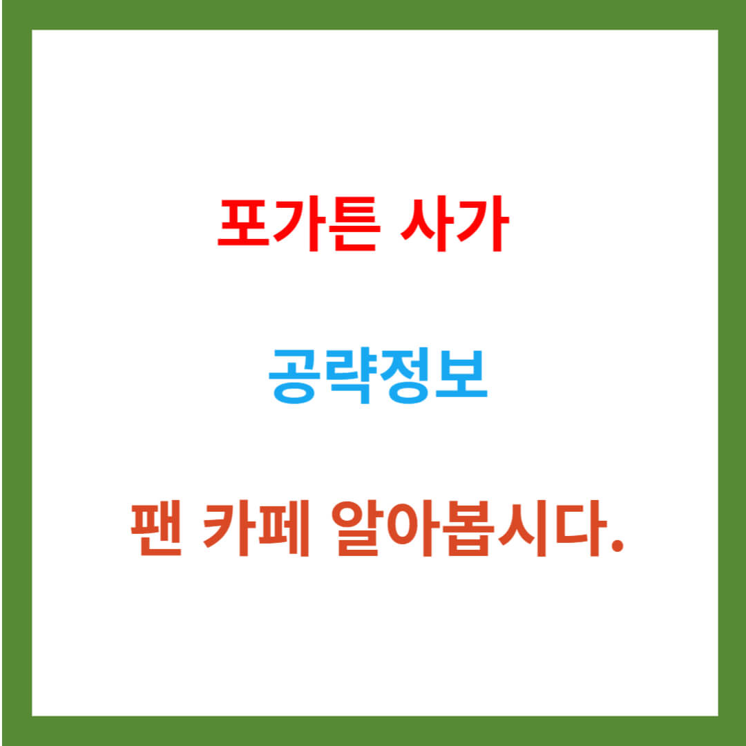 [게임] 포가튼 사가 공략정보 팬 카페