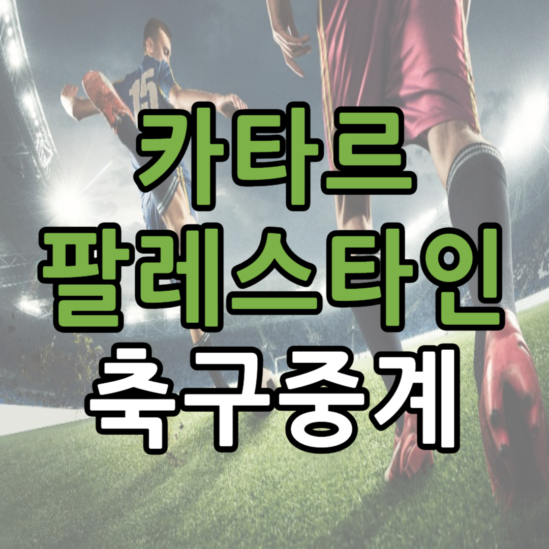 아시안컵 16강 카타르 팔레스타인 축구 중계 일정(+ 무료 시청 방법)