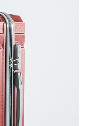 기내반입 캐리어