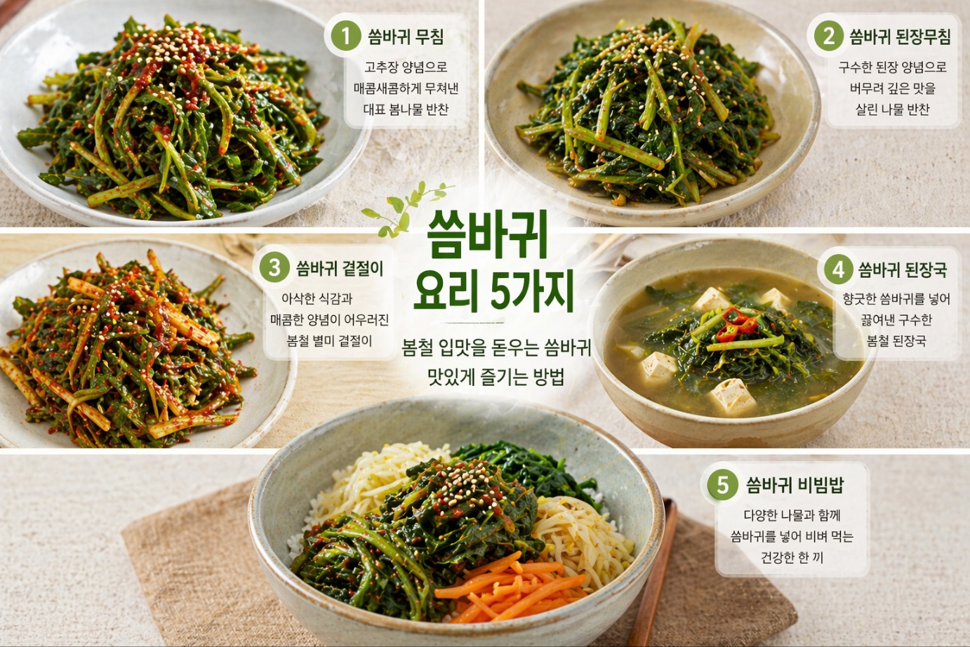 씀바귀 요리하는법 5가지 봄 제철 씀바귀 맛있게 먹는 방법