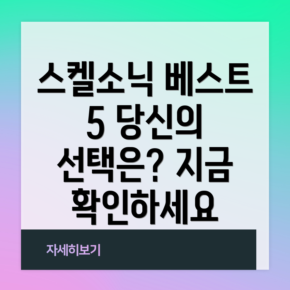스켈소닉베스트5당신의선택을돕는상세분석