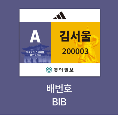 2025 서울마라톤 겸 제95회 동아마라톤 – 일정, 접수 방법, 코스 총정리