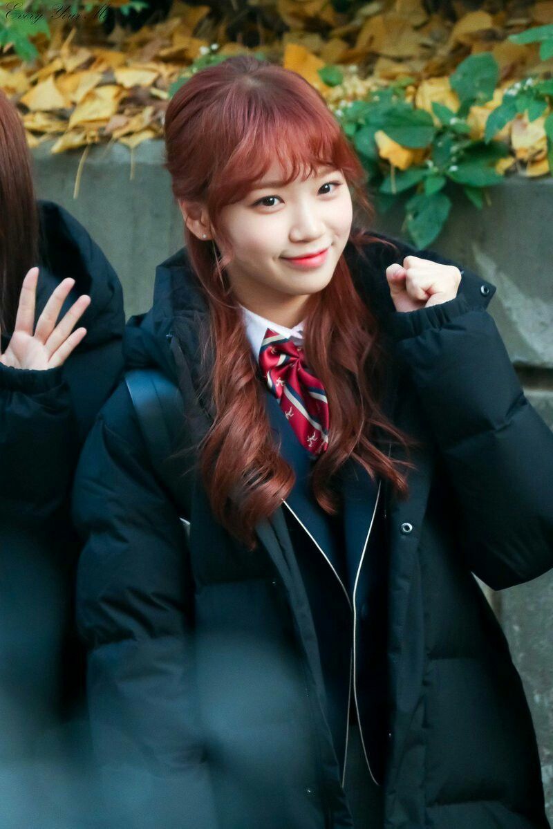 김채원 사진 모음