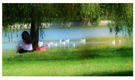 일상 속 작은 변화 주기