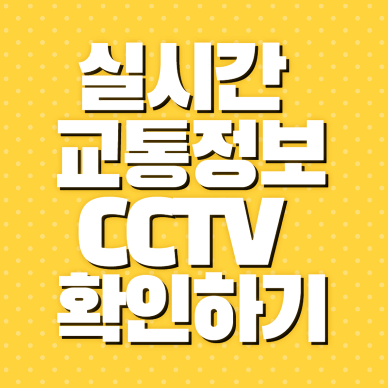 CCTV 확인하기
