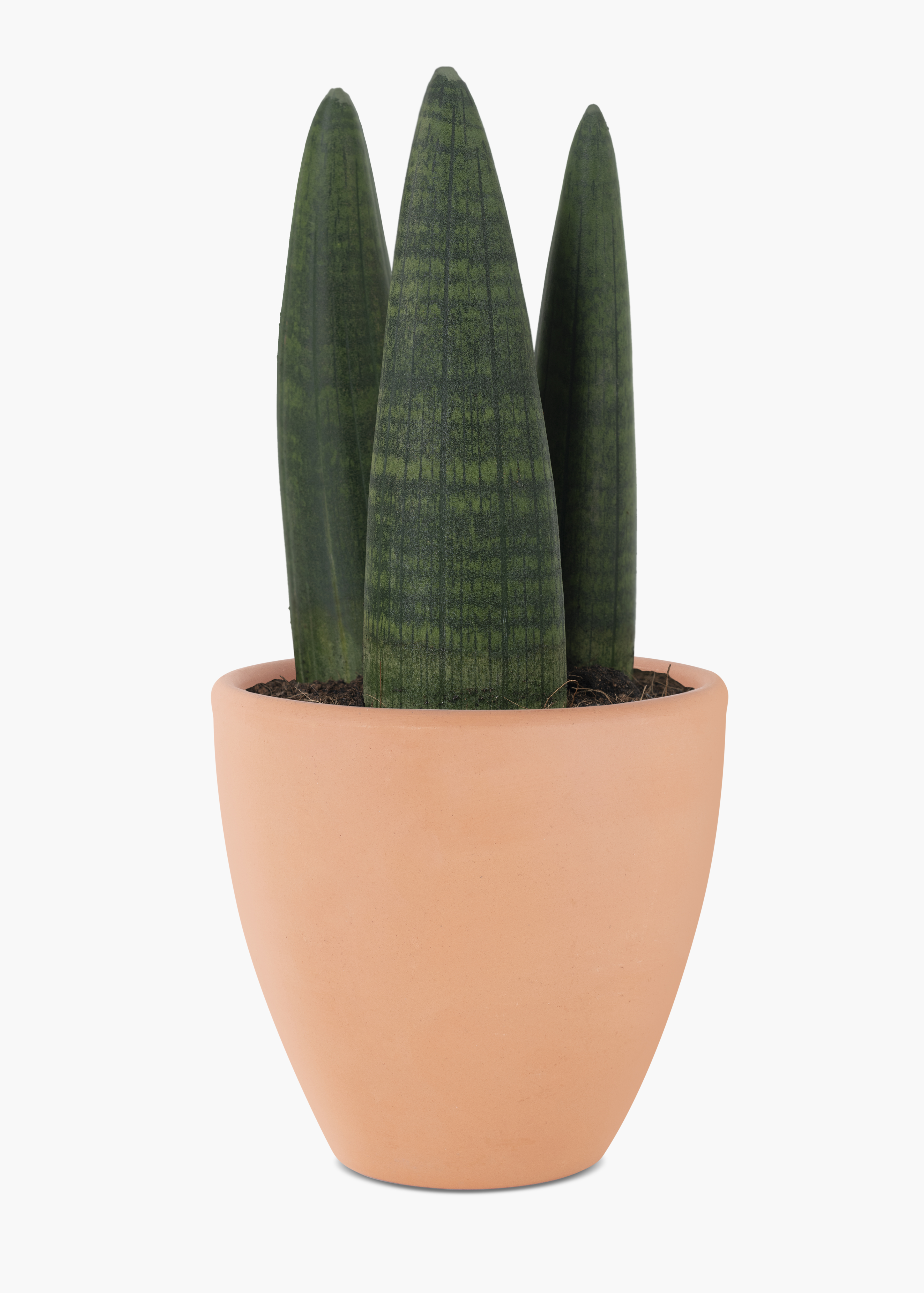 토분 예시 사진