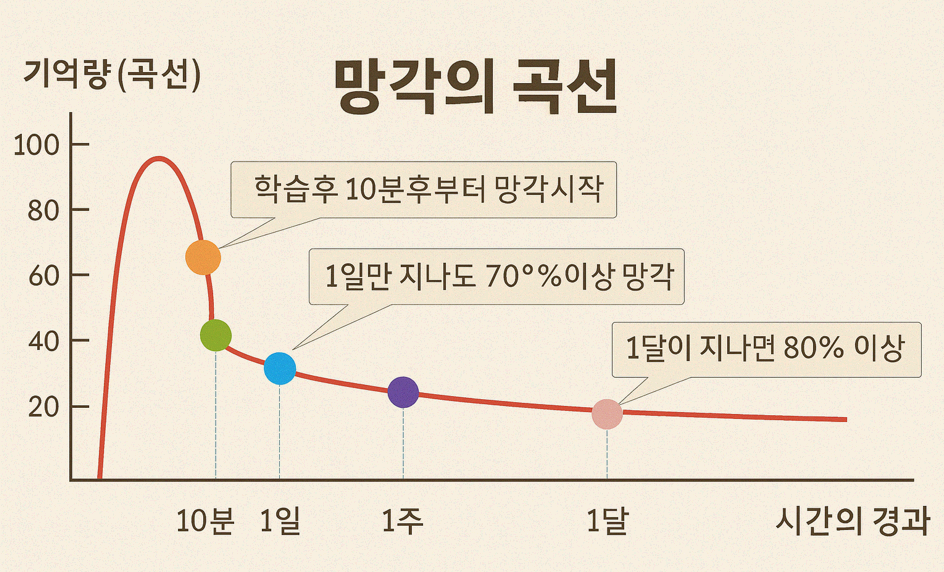 에빙하우스와 망각의 곡선