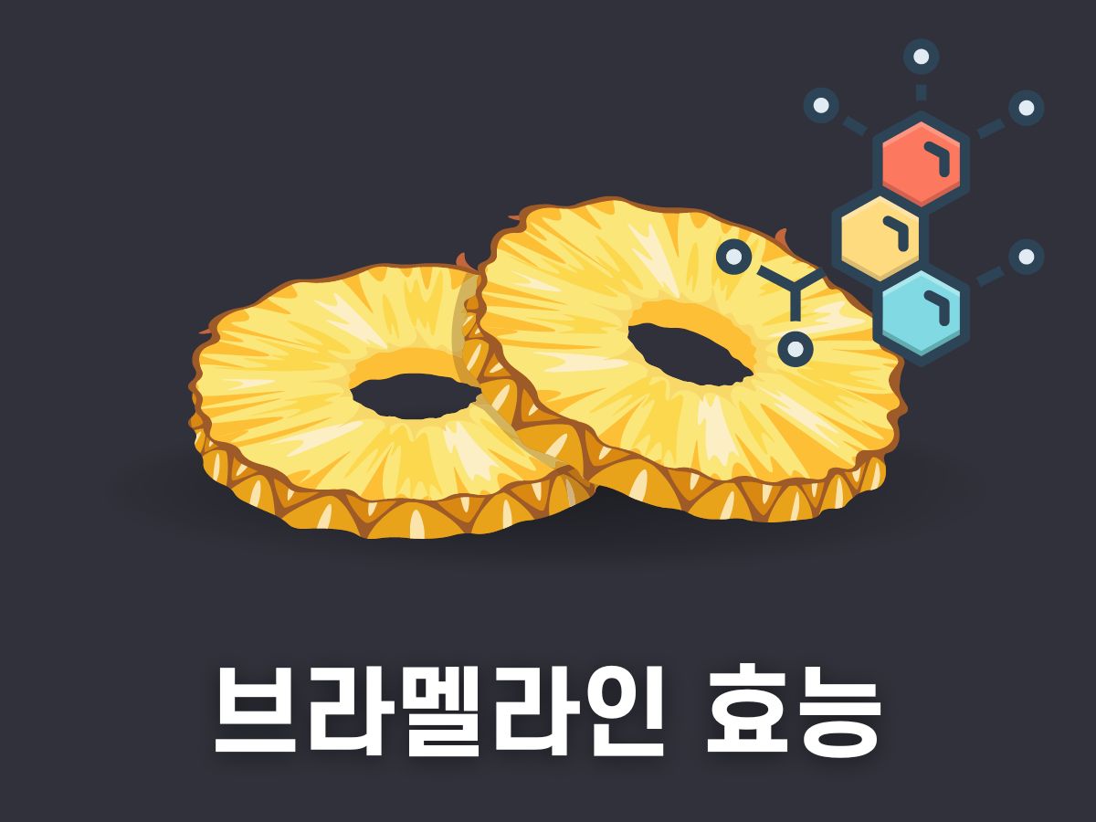 브로멜라인 효능