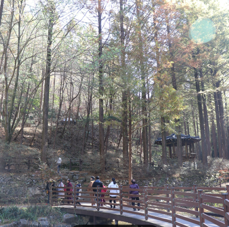 장태산 자연휴양림