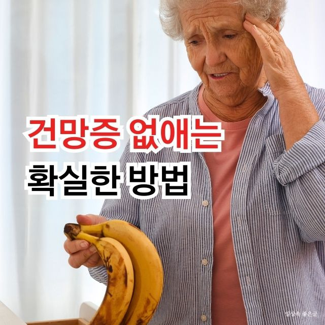 건망증 없애는 방법 기억력 향상 건강 정보 이미지