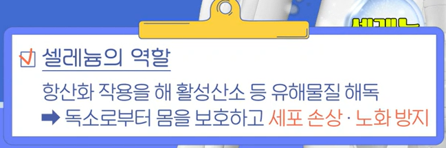 카무트 효능