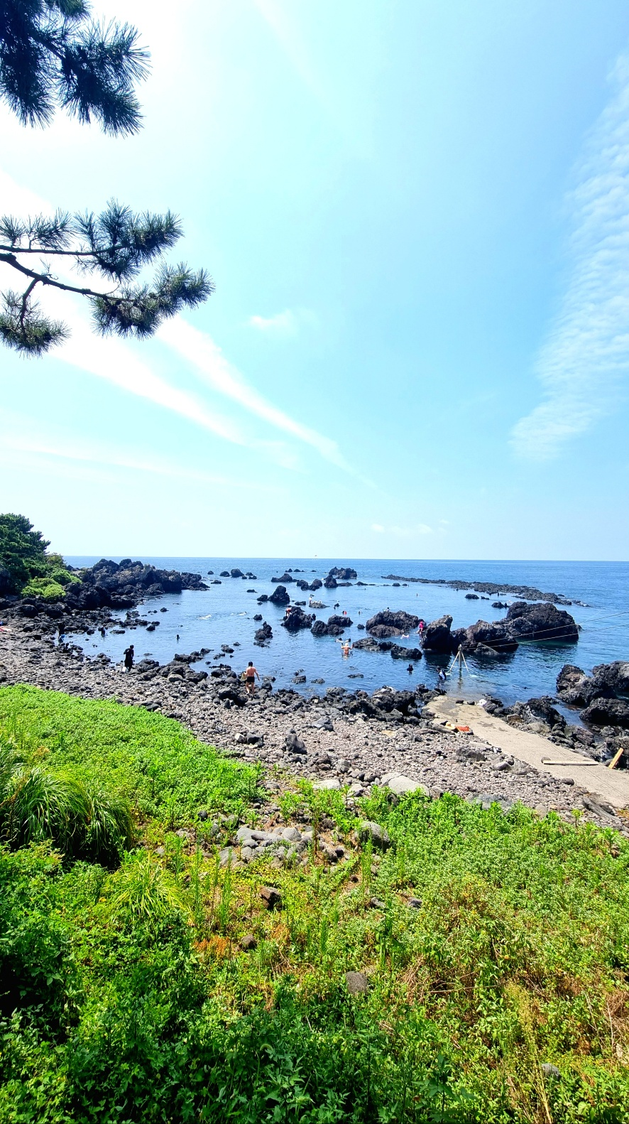 제주 도리빨