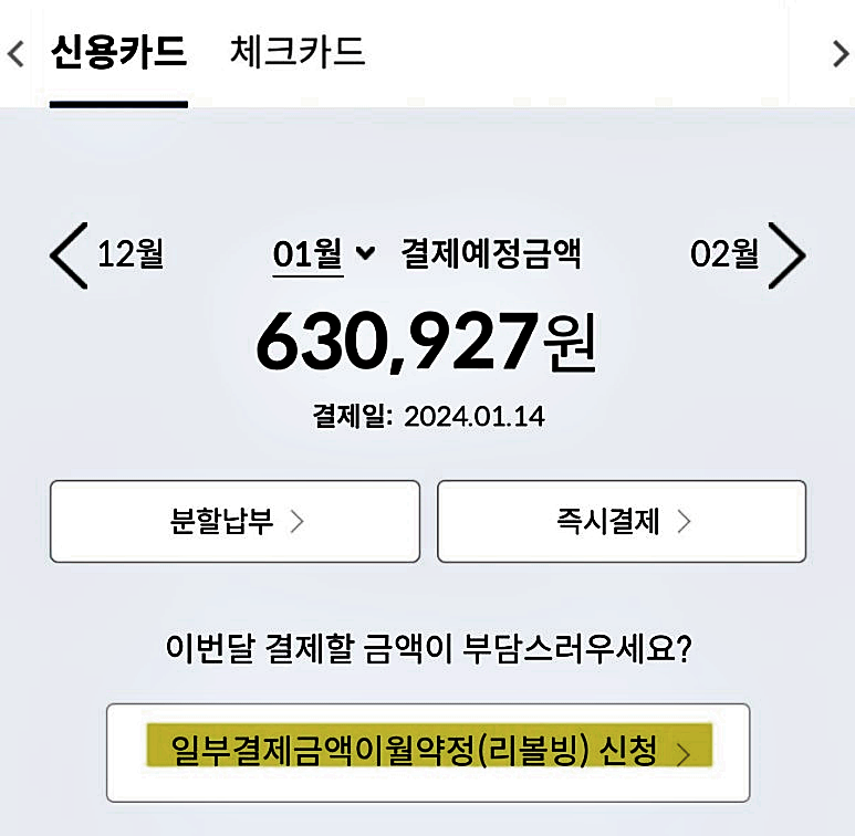 리볼빙(Revolving) 이란?2