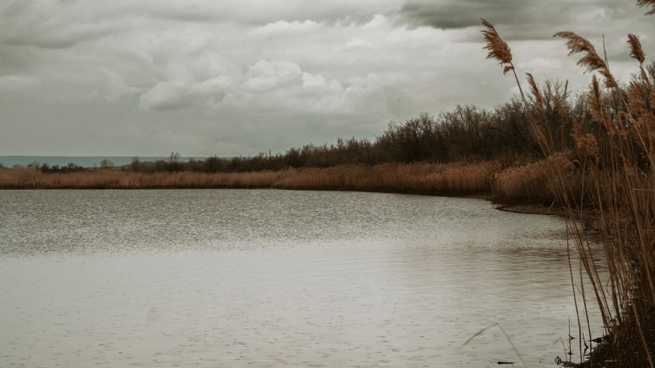 Peaceful lakeside scenery with reeds and cloudy sky in Saratov, Russia.