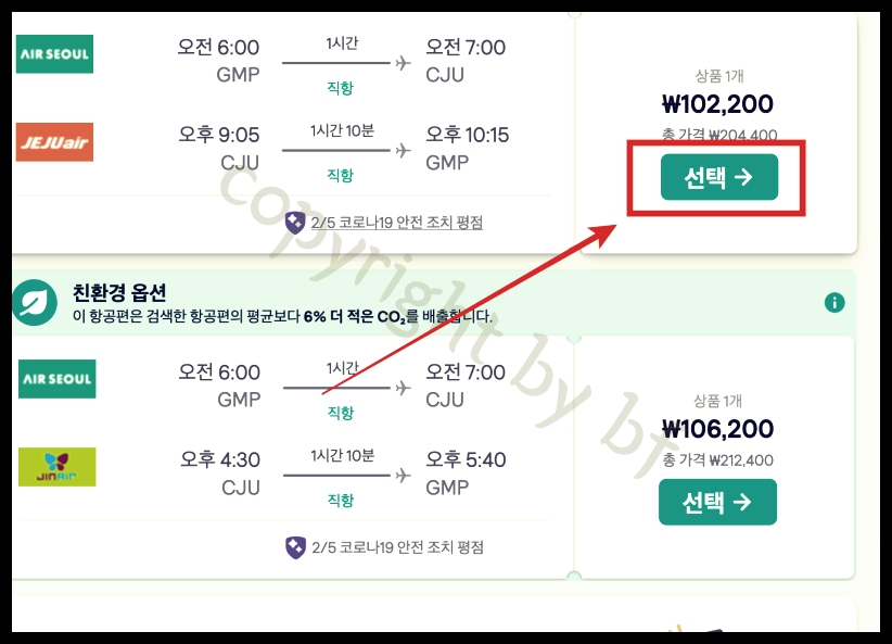 항공권 선택하기.jpg