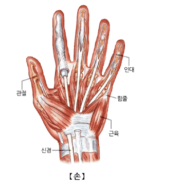 손목 건초염 원인 증상 스트레칭