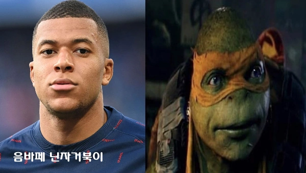 음바페 닌자거북이 