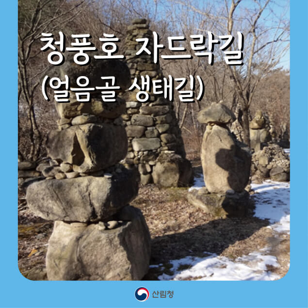 충북 제천에서 만나는 명품숲길, 청풍호 자드락길의 모든 것