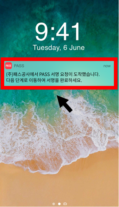 PASS 인증 화면