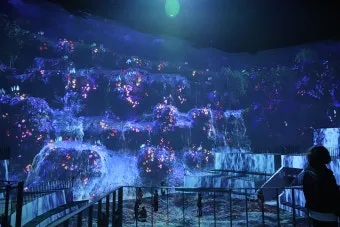 제주도 비올때 가볼만한곳 10곳 추천 실내 관광지로 모음_4