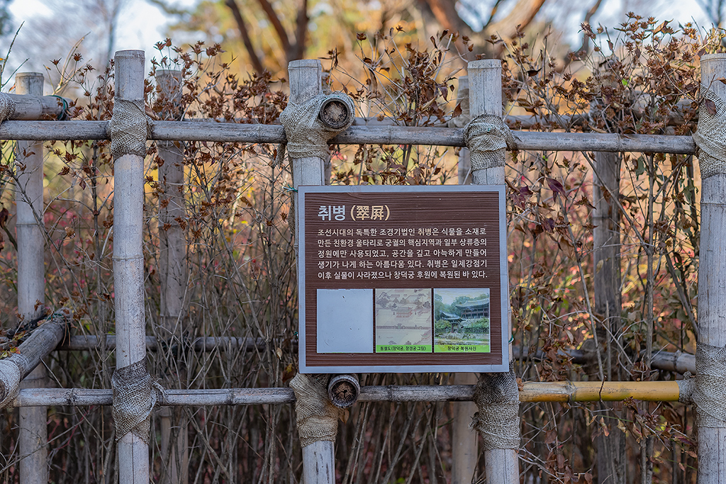 혜화문
성북동
한양도성길
백악구간
서울여행
서울단풍
가을단풍
단풍
성벽
와룡공원