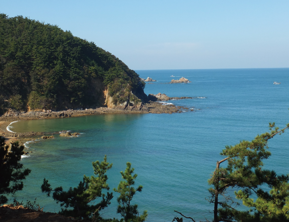 장고도1