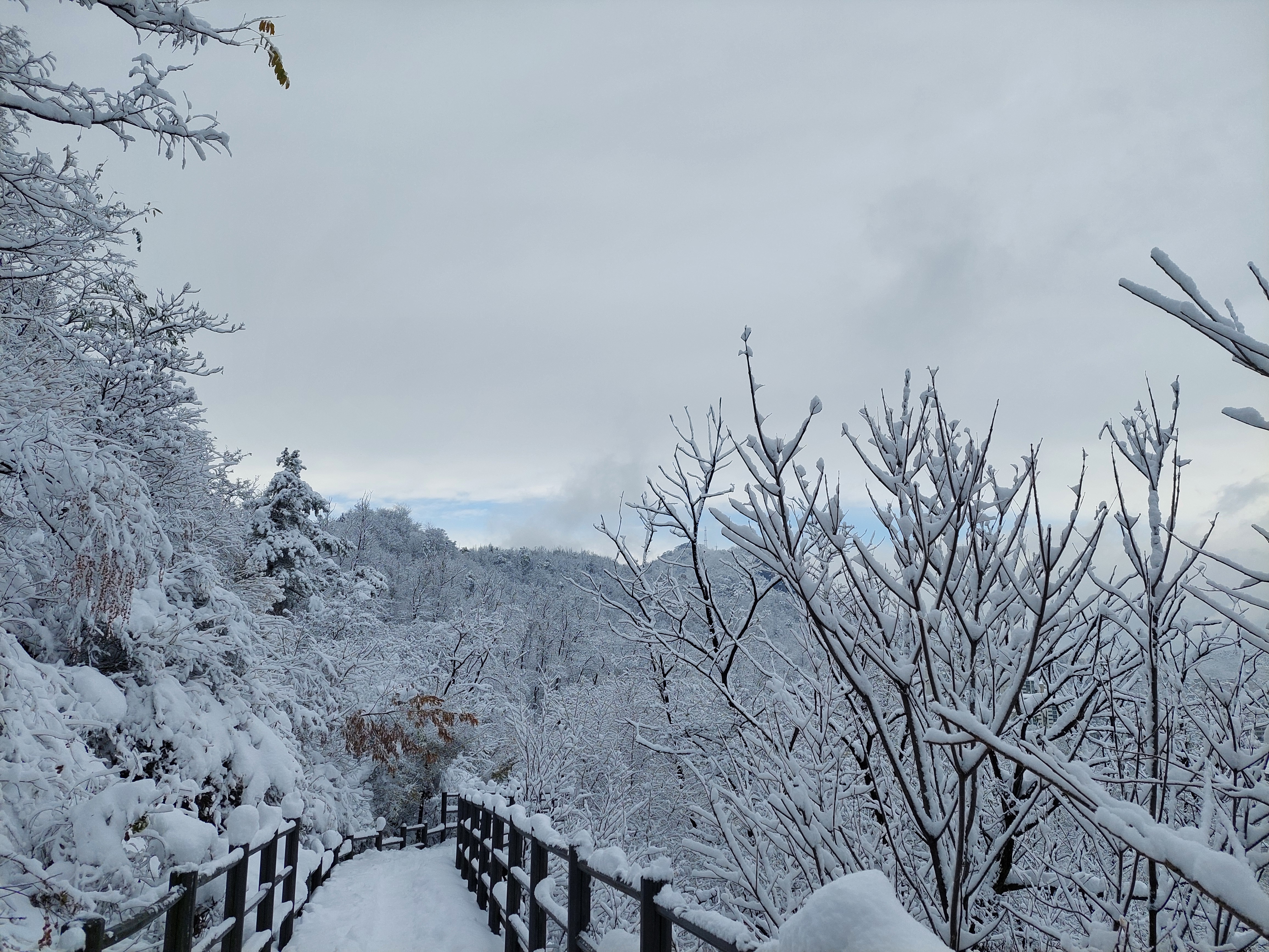 백련산안산