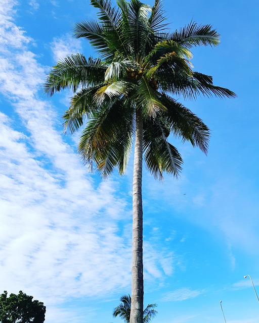 코타키나발루 여행