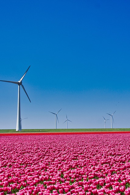 일주일 날씨 예보 전망