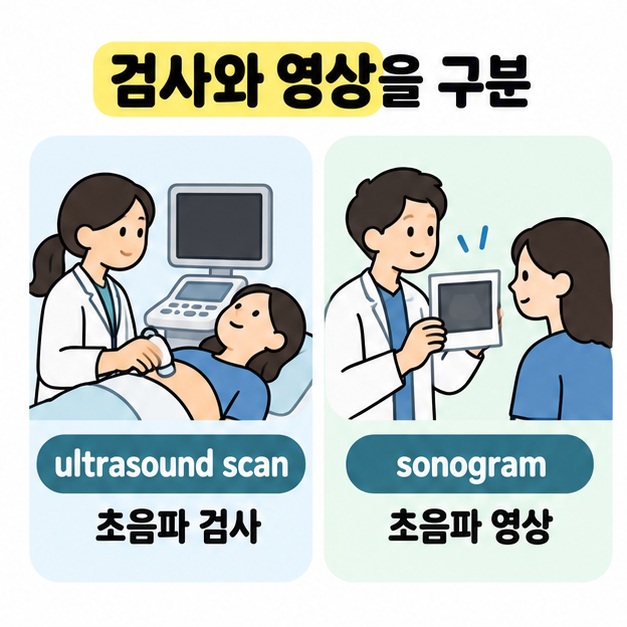 검사를 진행하는 장면에는 ultrasound scan과 초음파 검사, 검사 출력물을 보여 주는 장면에는 sonogram과 초음파 영상을 짝지어 비교한 그림