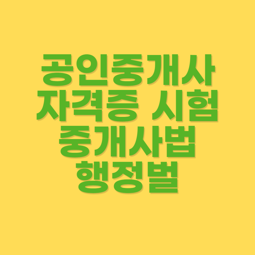 공인중개사 행정벌 내역