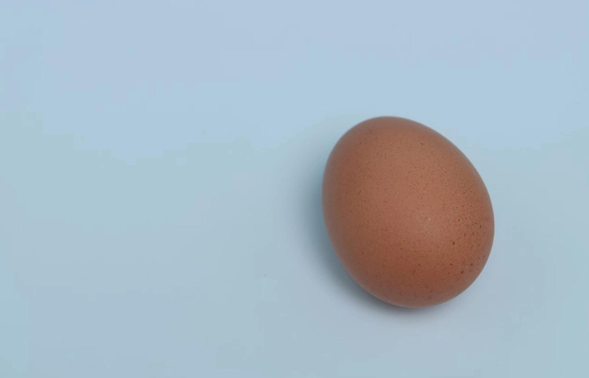 청란 효능