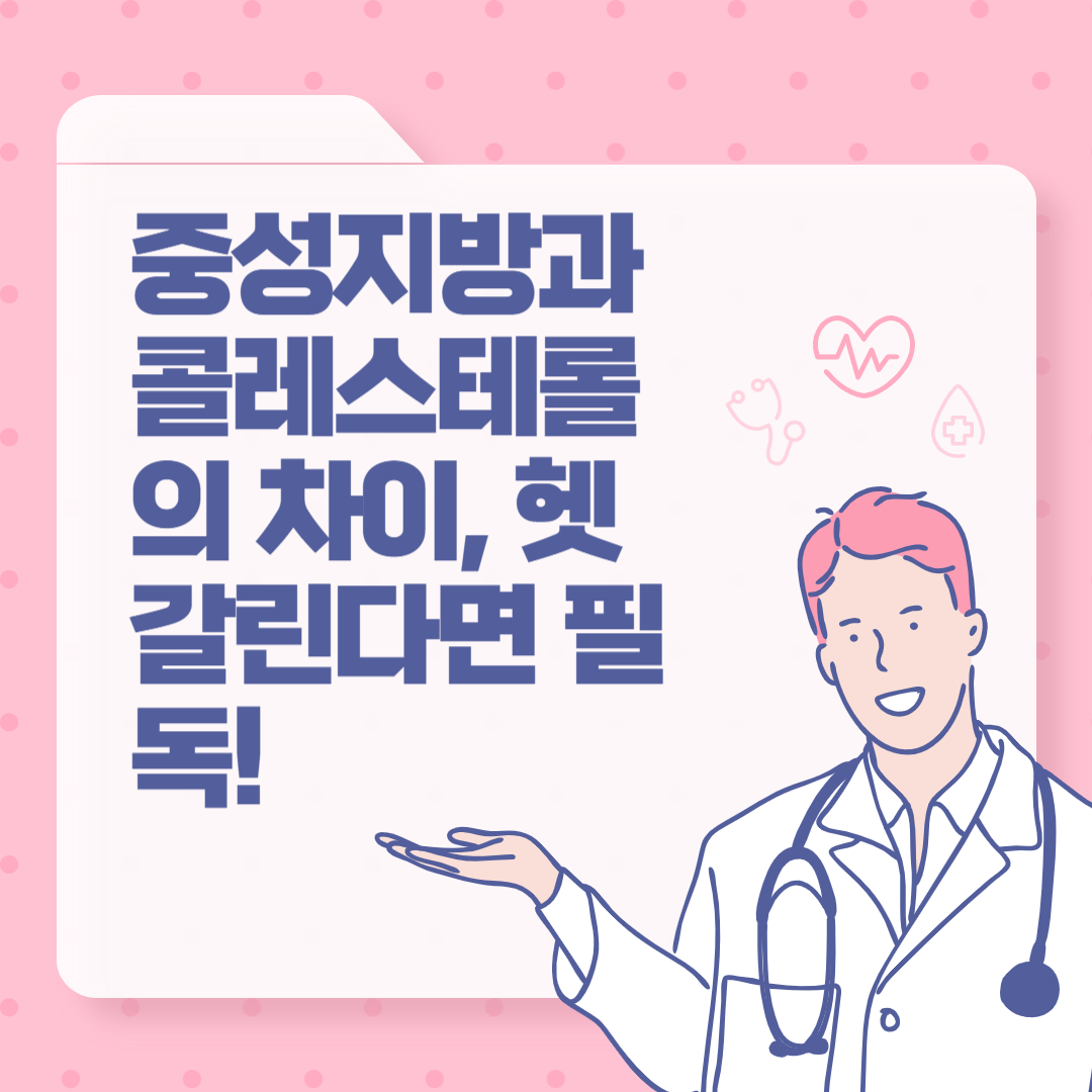 중성지방과 콜레스테롤의 차이, 헷갈린다면 필독!