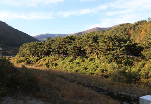 차박하기 좋은 곳