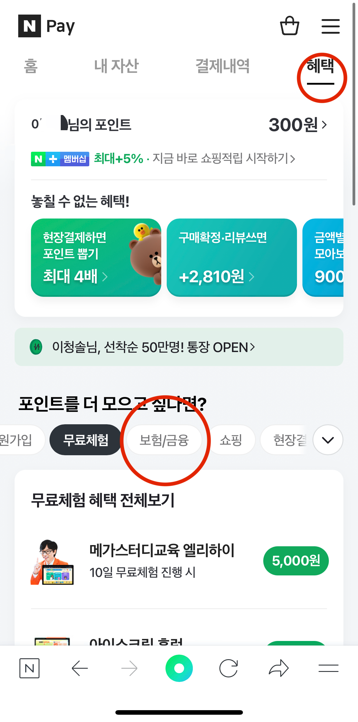자동차 보험