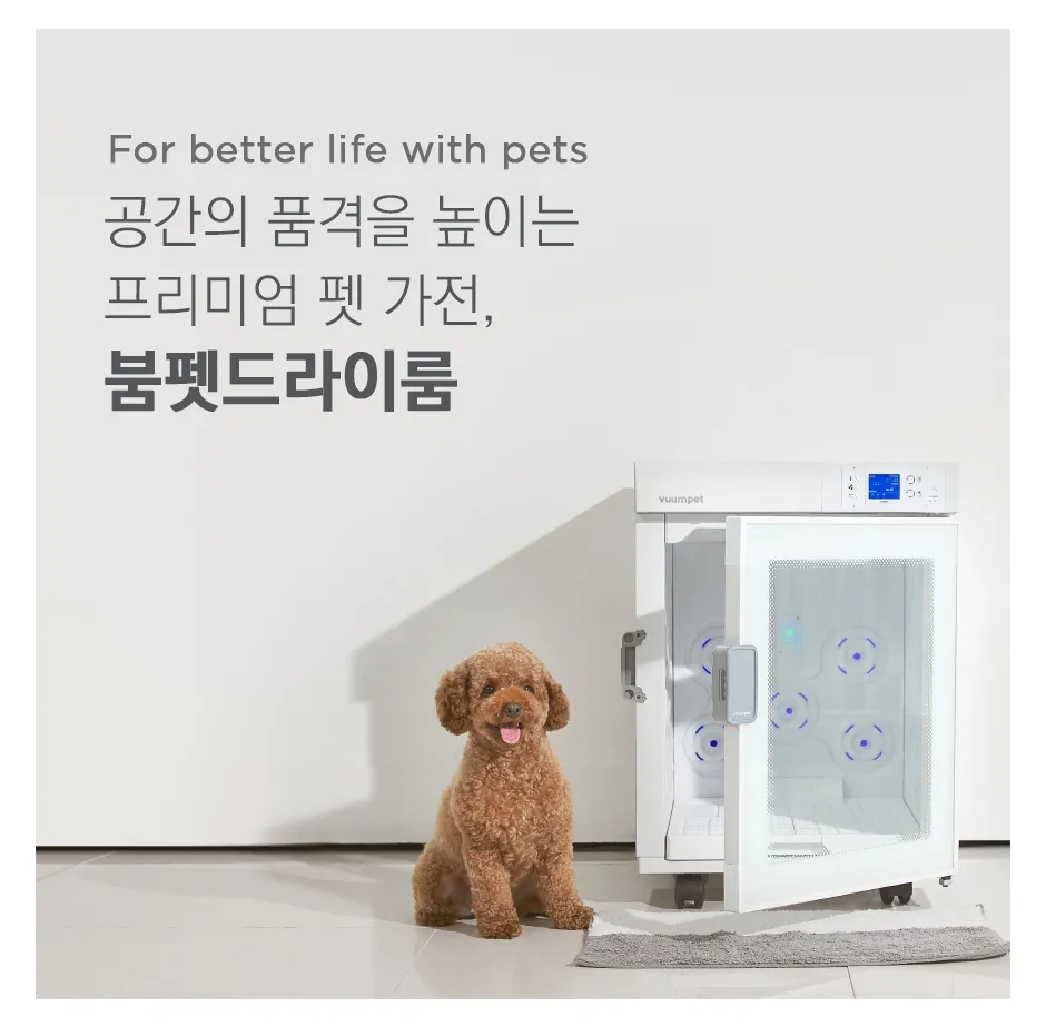 붐펫드라이룸