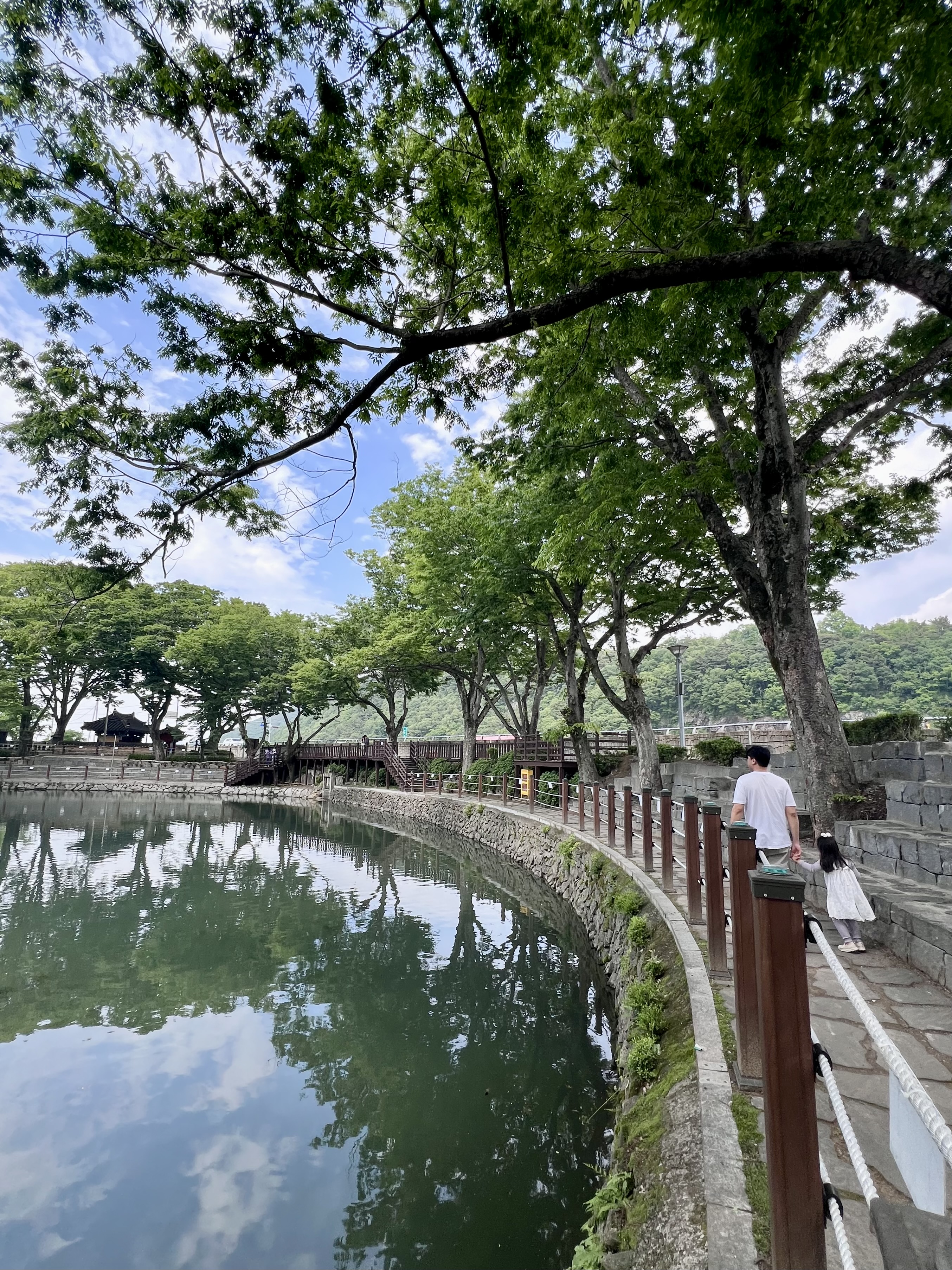 무진정 반영샷, 무진정 산책, 함안가볼만한곳