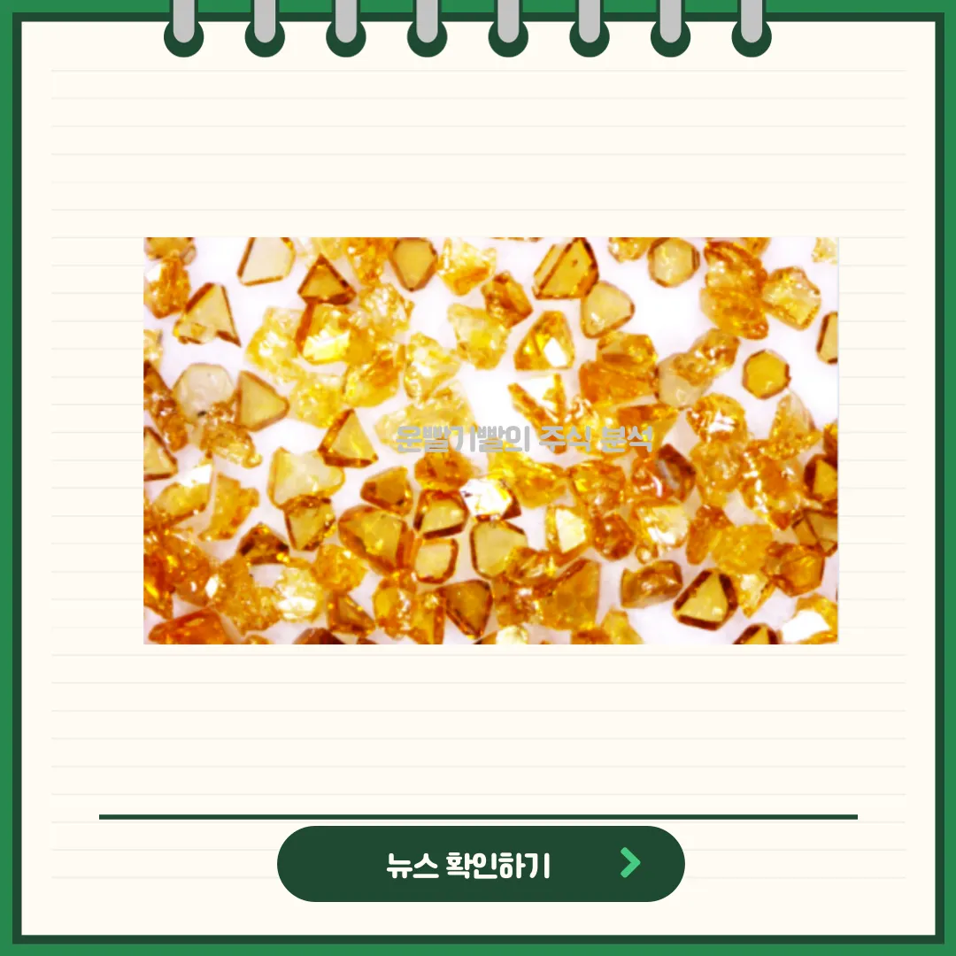 일진다이아 뉴스