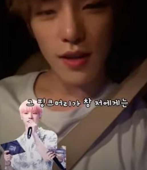 그 핑크머리가 참 저에게는