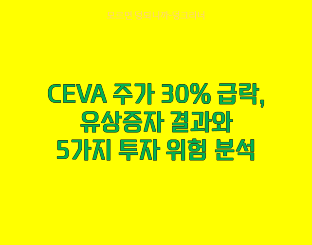 CEVA 주가 급락 이유와 향후 전망