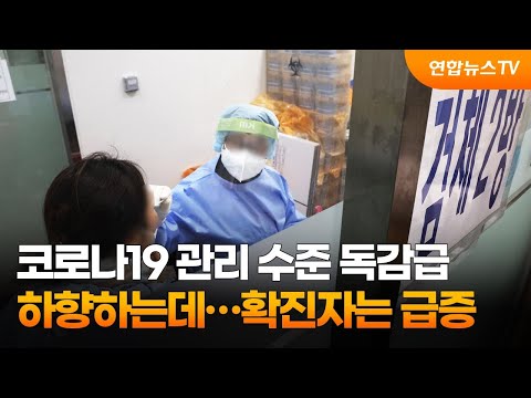 코로나검사비