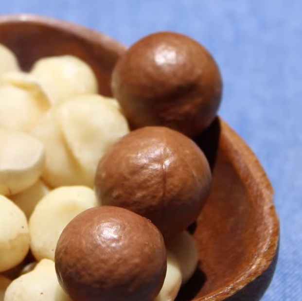 마카다미아의 효능