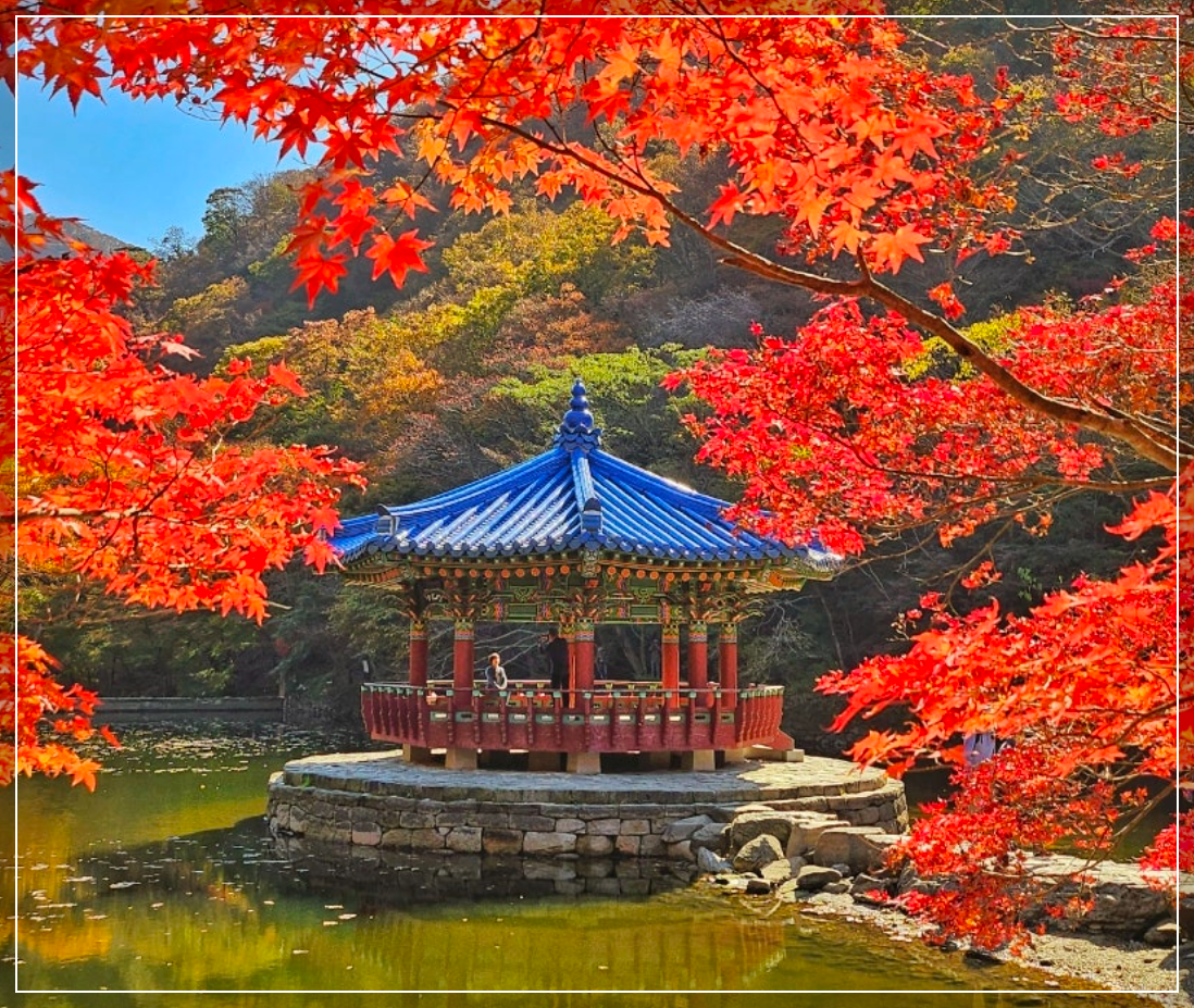 단풍-명소-12