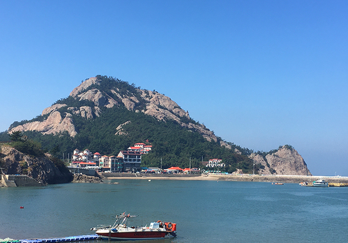 대장도