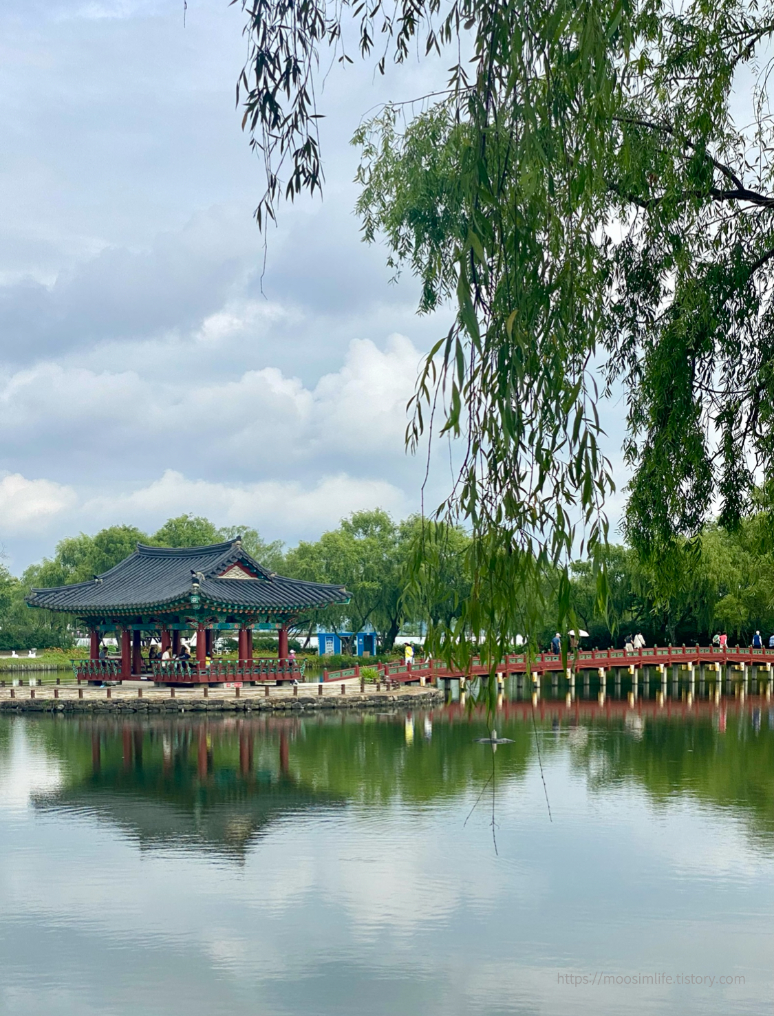 궁남지-부여 서동 연꽃 축제