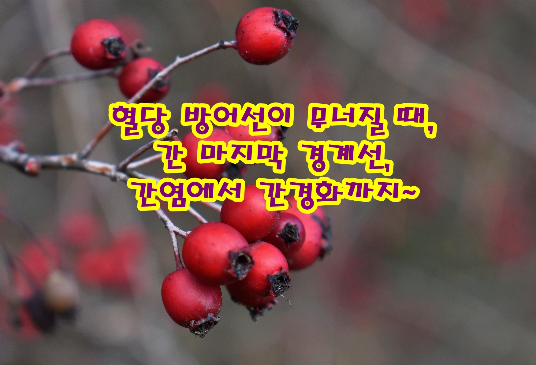 혈당 방어선이 무너질 때, 간 마지막 경계선,간염에서 간경화까지