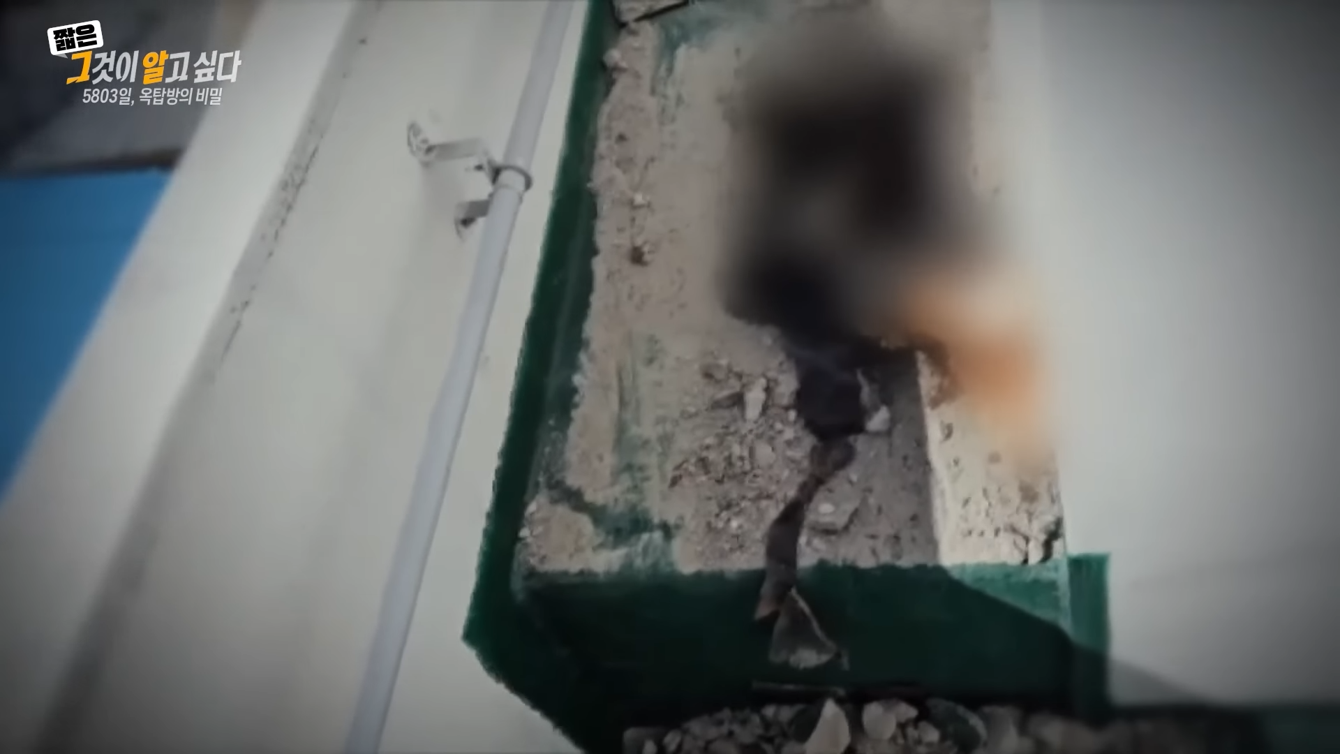 그것이 알고싶다