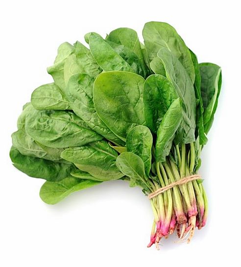 비타민d 부족증상