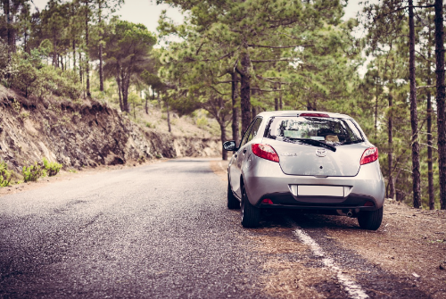 평범함을 뛰어 넘는 마즈다 CX-50 성능,인테리어,기술력