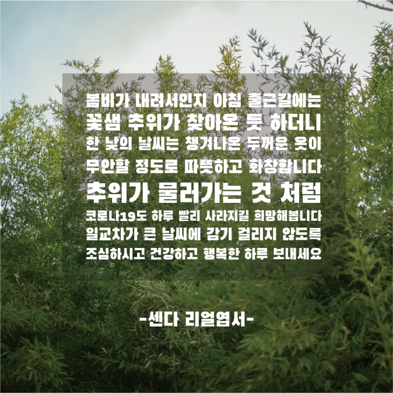 봄비 인사말 이미지 비오는날 일러스트_3